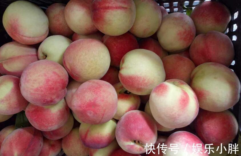 准能|夏天桃子的挑选方法,记住5点,准能买到好吃的桃子