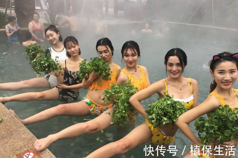 配方|补肾男人补肾的配方,有香菜就能搞定,一治一个准