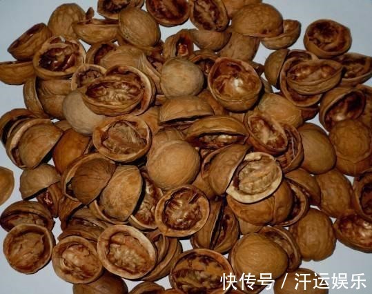 花盆里垫上5样东西,连营养土都不用买,植物不烂根花朵爆盆