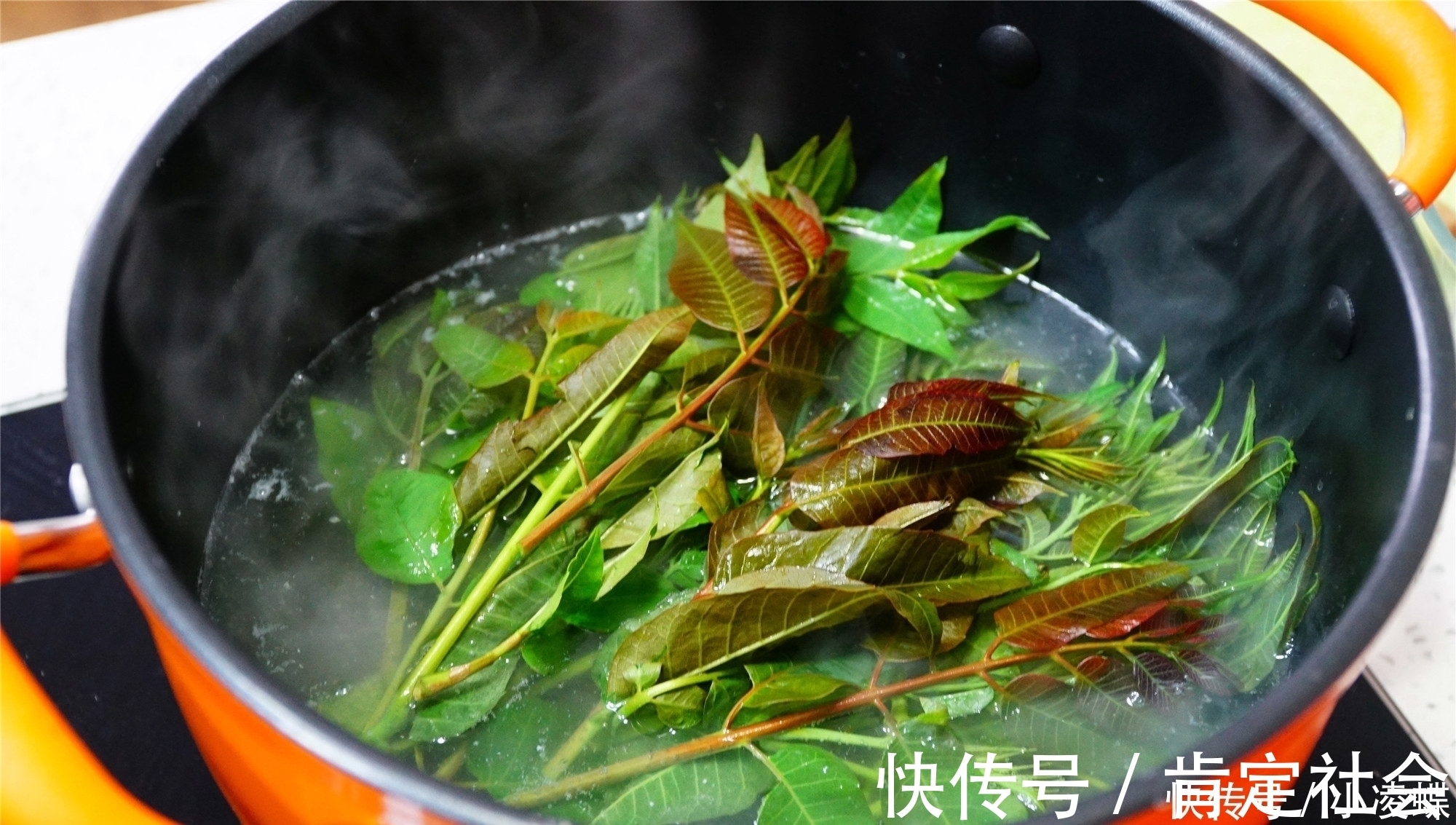 芝麻油|天热了，豆腐的最佳吃法，不煮不炒，压成泥就上桌，清爽开胃
