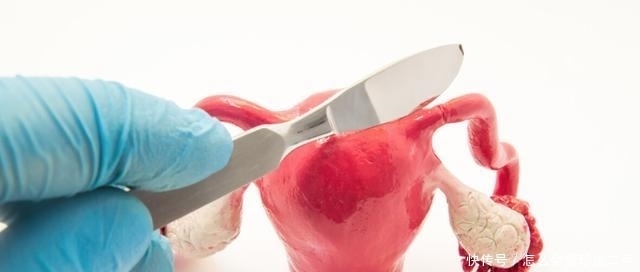 成功经验|太愁人了,怎样备孕二胎,备孕成功经验