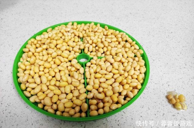 用了我这办法,发黄豆芽不会变臭一次就成功,五天就长15厘米高!