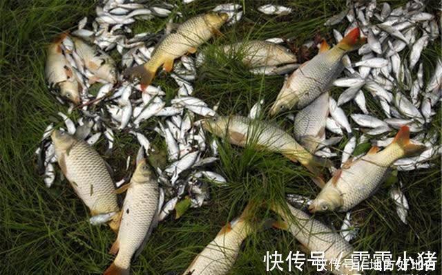 调漂方法大全:图解无子线调漂,小鱼闹窝、流水走漂,就用这方法