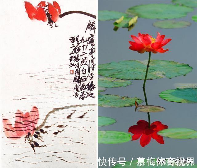 神品#齐白石一幅画被发现两处错误,专家却说神品,网友:这也叫神品?