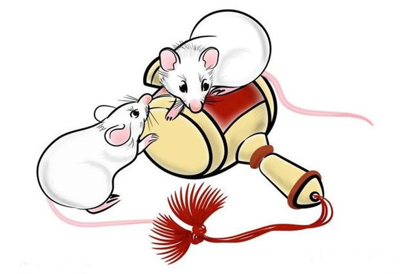 接鼠年,给属鼠人取什么名字好男女起名