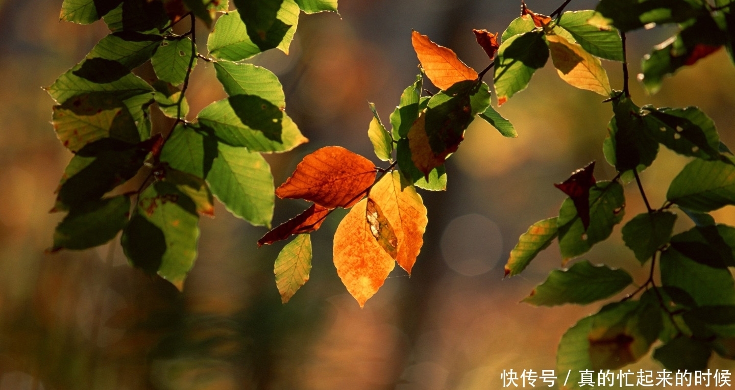 不占便宜是教养,人情往来是修养!