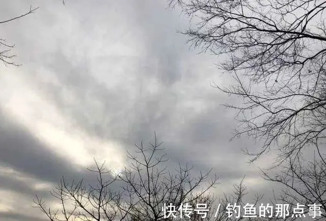 钓鱼|初春钓鱼,要知道“4钓、4不钓”,了解清楚,新手也能轻松爆护