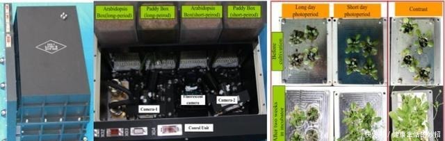 真技术活！在没有空气和水的太空如何种粮种草！
