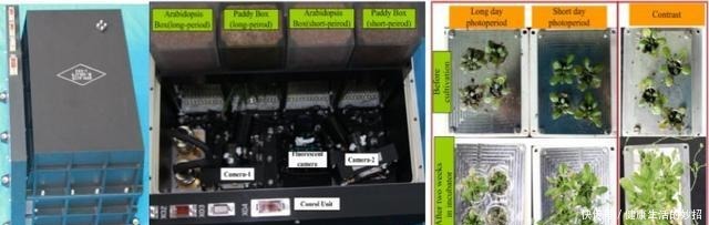 真技术活!在没有空气和水的太空如何种粮种草!