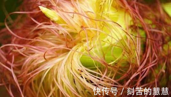 有利湿|湿气重的人的注意,3种食物可多吃,3种食物再喜欢还是尽量少吃