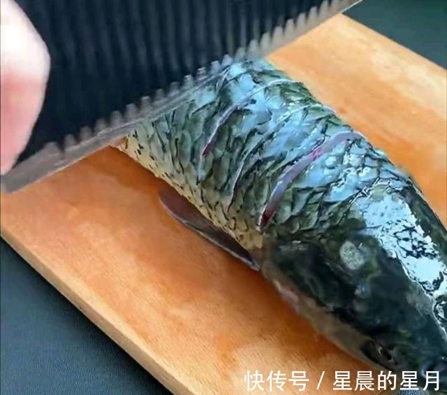 黄焖鸡米饭|草鱼的懒人做法,用一条鱼、一碗豆腐、一束金针菇碰撞出的火花!