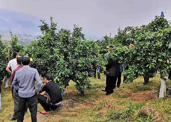 新农人田茂民：从象牙塔到我家有块地 展望新的田园梦想