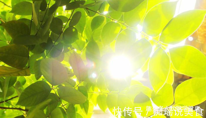 三伏贴|冬病夏治抓住一年中养阳的40天,阳虚的人记得提前安排好3件事