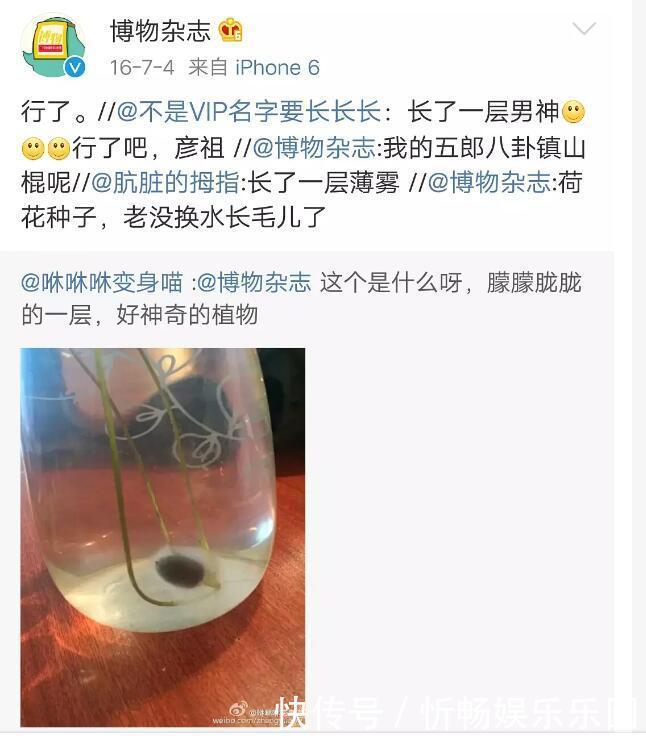 这世界|给你一扇窗,看看这世界的模样!(科普童书推荐)