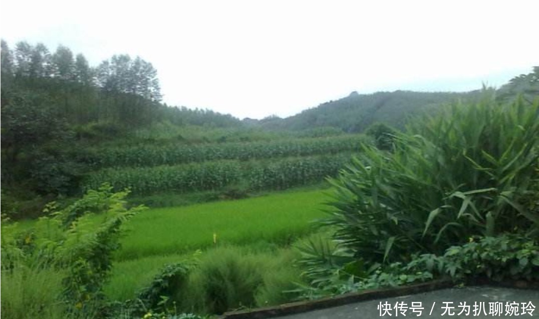 独特|中国小山村中一独特姓氏，揭开明朝后裔是如何出逃，又是逃向何处