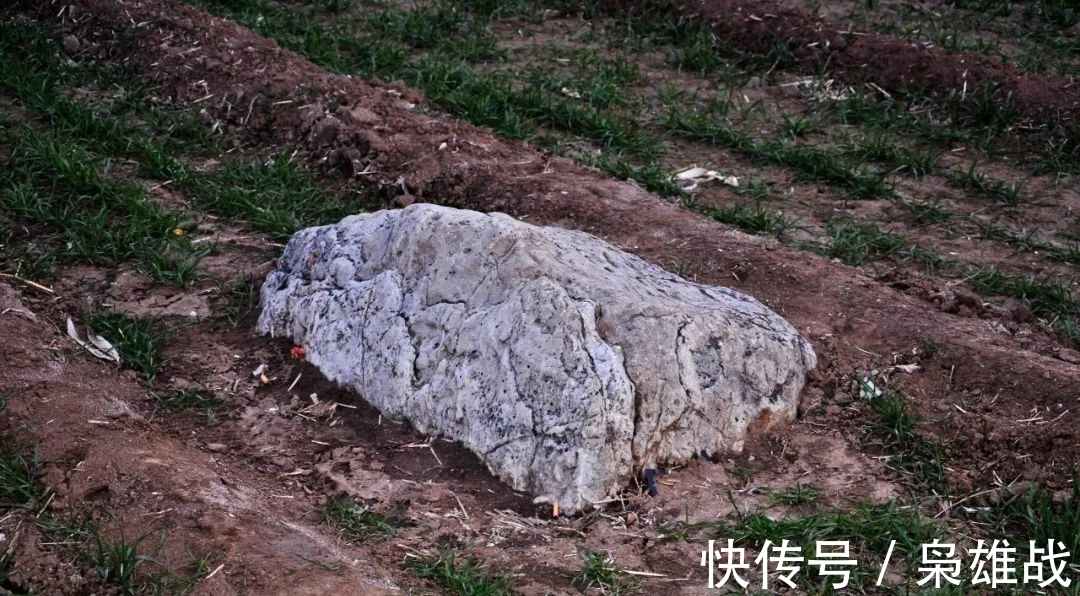 寿光市文化局|世界上最矮的山，只有60厘米高，还没有一块石头大，被重点保护！