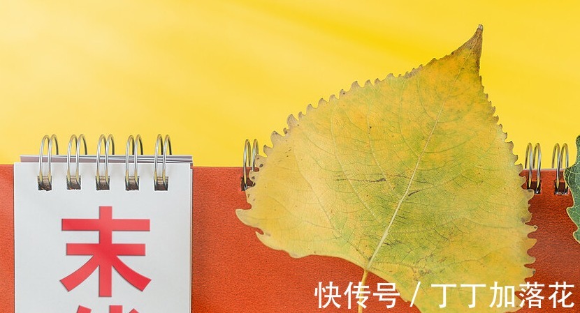 百合|立秋后，“宝瓜”该多吃了，对肠胃好，还能防秋燥，舒服过完三伏！