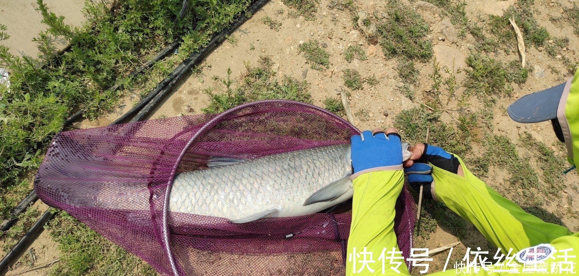 专利不跑鱼的鱼钩，究竟是不是钓鱼必备利器？带你一探究竟