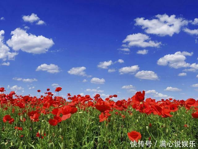 右鼻翼有痣的女人 右鼻翼有痣的女人