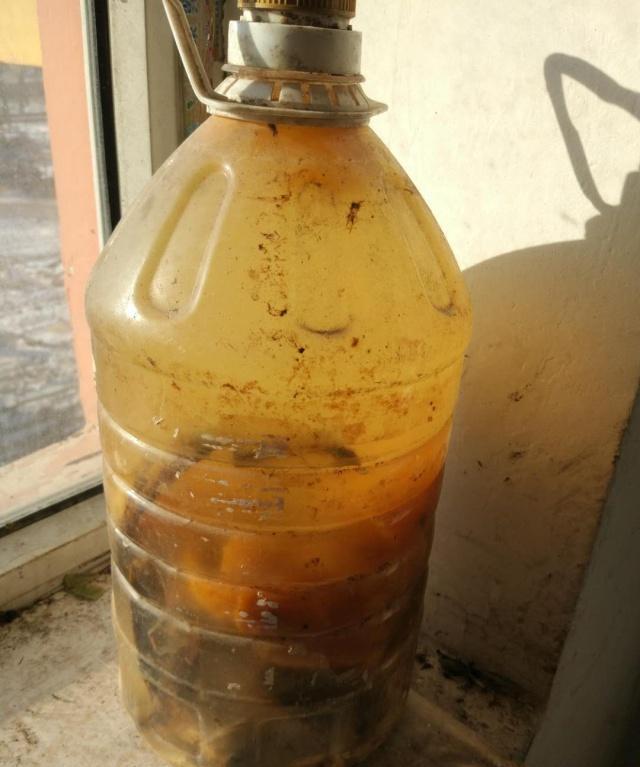 阳台养此2种花,开花量比“月季”还大,枝枝满花,耐旱又好养