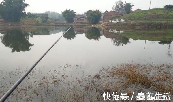 冬季天寒地冻,钓鲫鱼发窝更慢,打窝用这些招数,聚鱼效果翻倍