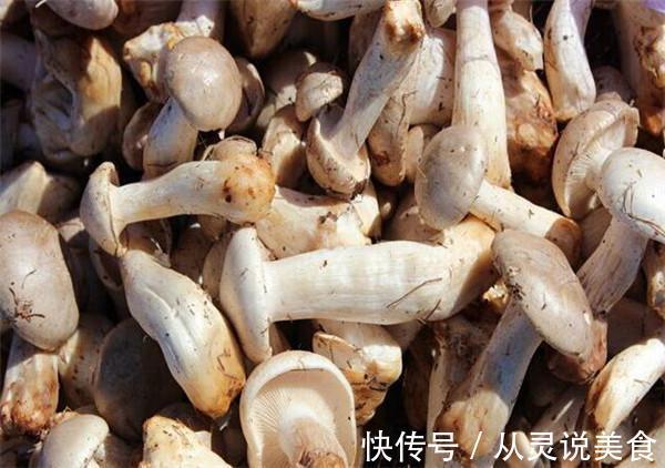 食用菌|它被列为“人类最佳饮食结构”,增肌护心脑!这样吃,养出好体魄