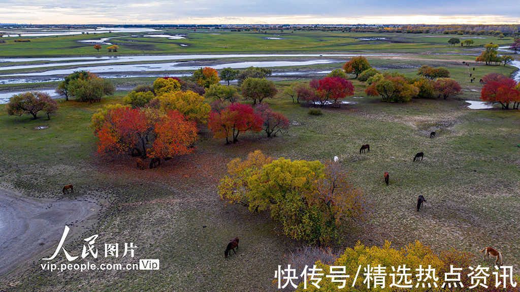 齐齐哈尔|黑龙江齐齐哈尔：阿伦河沿岸层林尽染