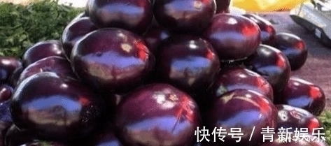 圆茄子|原来圆茄子和长茄子差别这么大？以后不乱买了