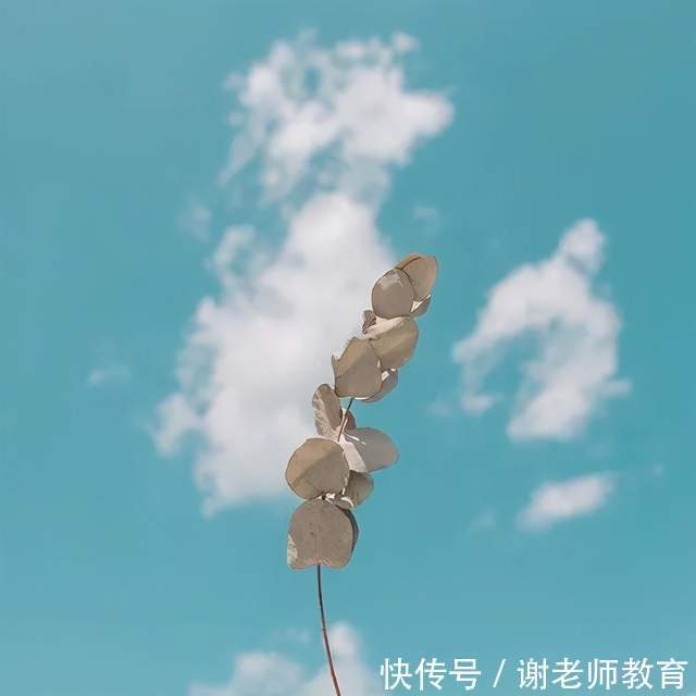 考研|学姐寄语：致考研的你和曾经的我自己