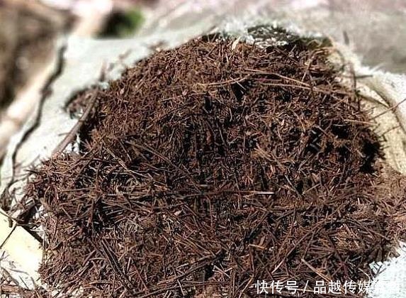  以自己去|野外捡点“这种土”，栀子花茉莉花最喜欢，透气有营养，省钱好用