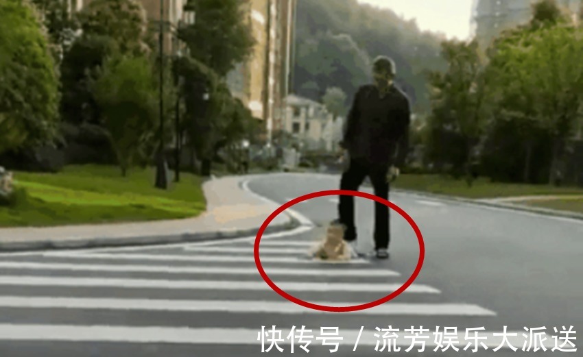 爷孙俩|孙子绊倒了,爷爷并没有立刻抱起,而是这样的一个举动引网友称赞