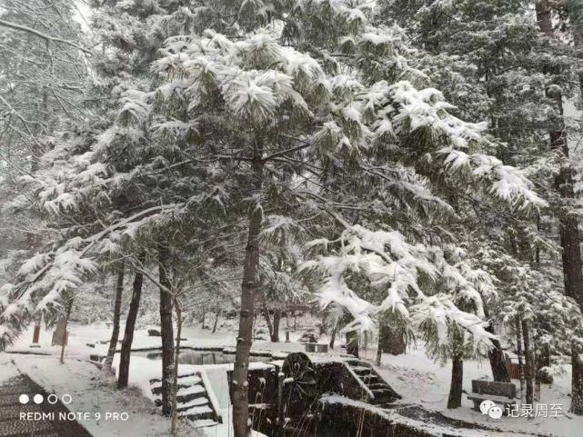 赏雪好去处！陕西黑河国家森林公园雪景和森林并存，风景美如画