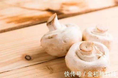 优质蛋白|免疫力是最好的医生!4个方法激活糖友免疫力,疾病不找血糖更好