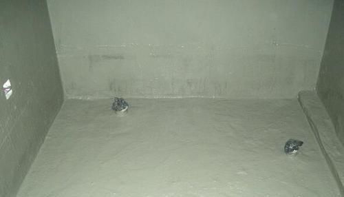 饱满性|原来卫生间的防水要这么做才能不漏水,难怪不得我家墙都发霉了