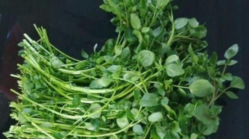 女性坚持吃3种食物，补血益气，滋阴润燥，排出子宫污血