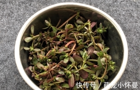 金不换|秋后的“金不换”,补铁是菠菜的2倍,炒一炒就上桌,吃着香