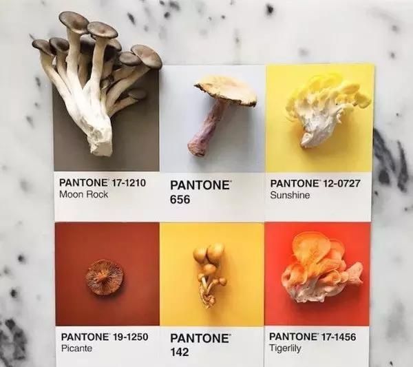 设计师|设计师是好色之徒吧不然怎么能拍出这组创意十足的食物色卡