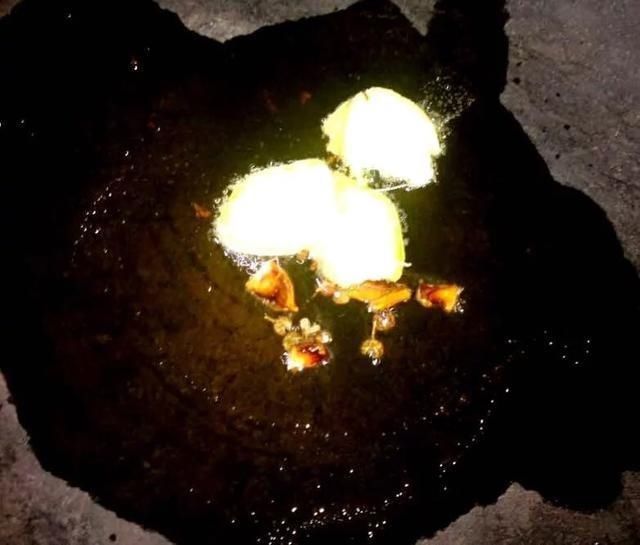 此鱼,肉嫩鲜美还滋补,老人和小孩适合吃