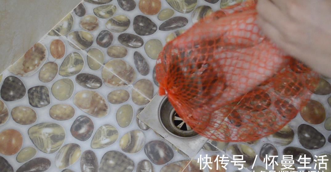 柚子网|柚子上的网套别扔掉了, 放在卫生间里有大用处, 看完你会感谢我的