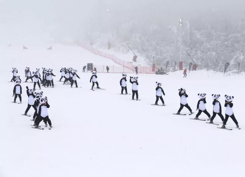 西岭雪山景|安排！西岭雪山滑雪场要开了！