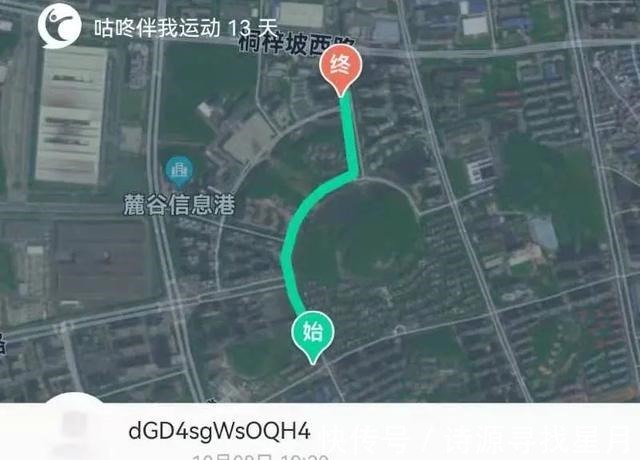 园林|真香！名校旁+自带公园+近商场，价格倒挂！这个宝藏盘超心动！