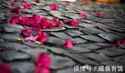 唐诗宋词&平常生活中随手吟来的七绝5首,或能安慰些许中年情怀,诗词人生