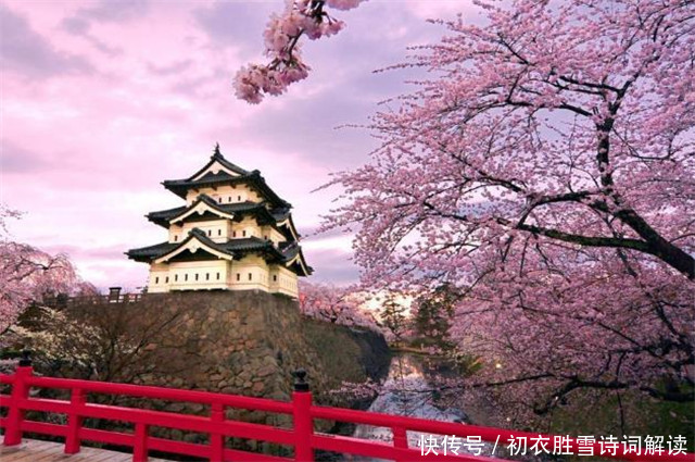 春雨楼头曼殊诗,眼前樱花雨,心里浙江潮
