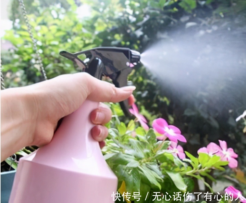 给花浇水时,这3点习惯不能有,不然土壤结块,花儿烂根