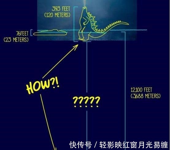 大胆设想！哥斯拉是怎么站立在大海上的