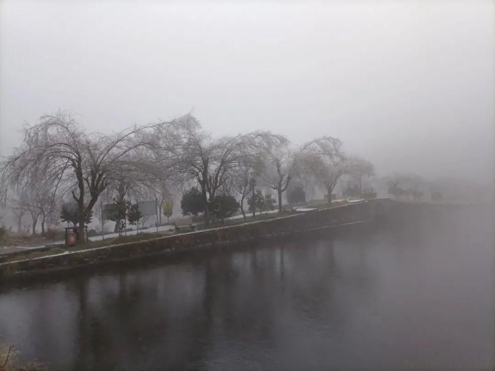 雪景|丽水这些地方下雪了，美炸了~最新雪景美图，请签收