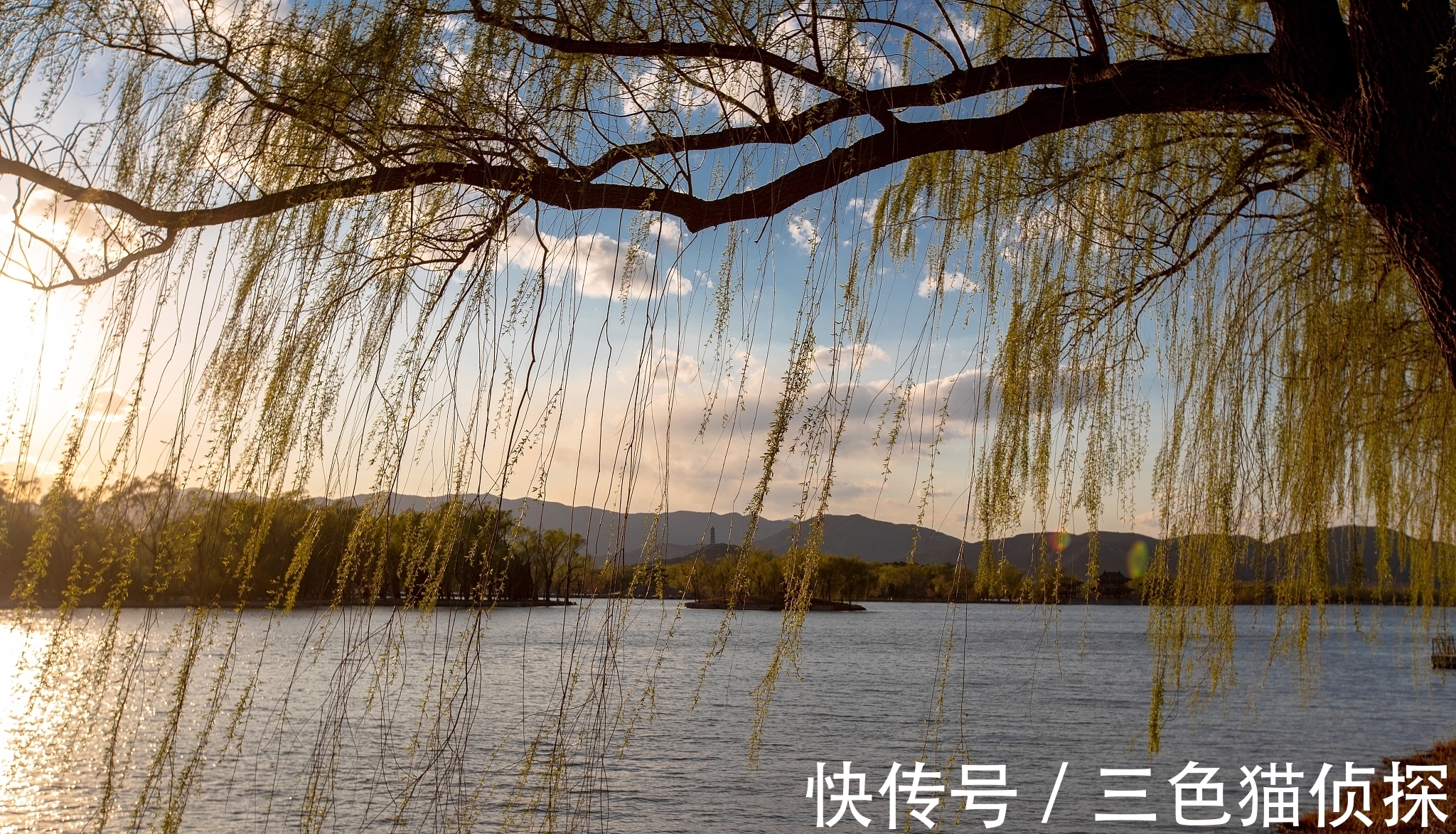 轻盈$独特不过这首诗:全篇四句描写杨柳,后两句尤其别出心裁