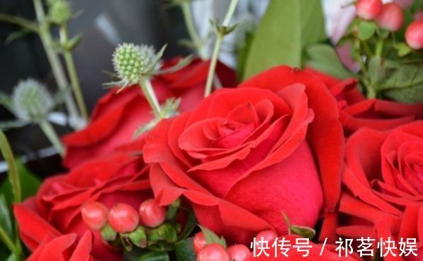 喜欢玫瑰，不如首选珍稀玫瑰“卡罗拉”，花开红如焰火，绚丽典雅