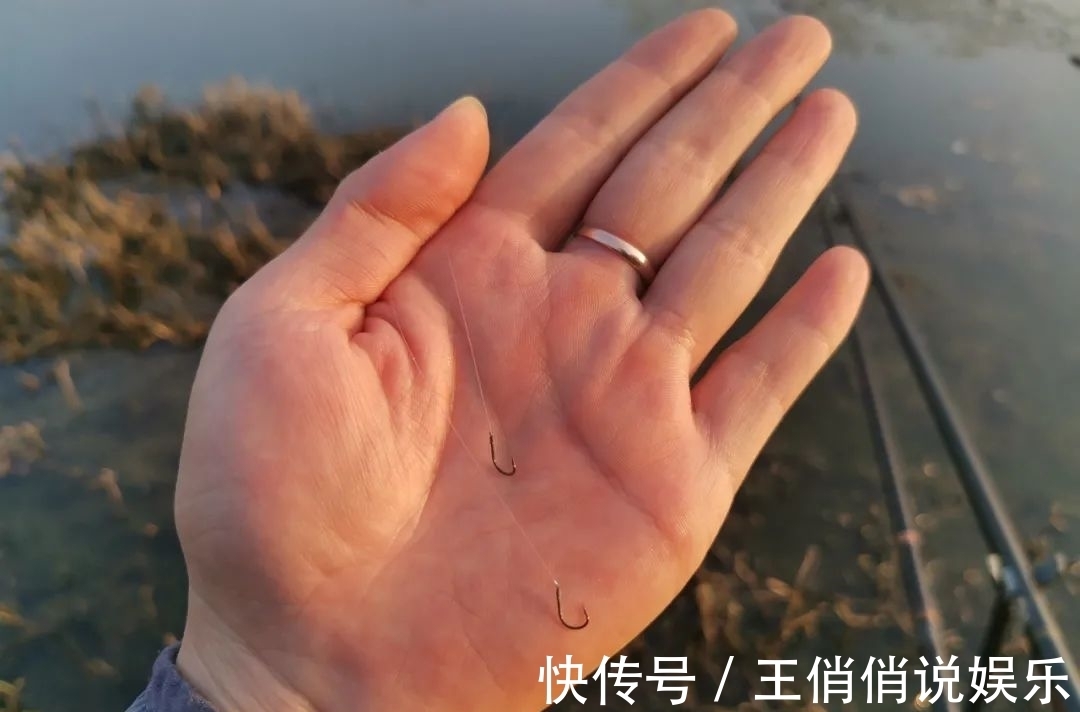 浮漂没反应提竿却有鱼，怎么调都没有顿口？原因就在这！