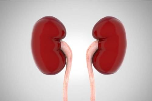 肾功能|上厕所时,尿液“发黄有异味”,并非上火,或是身体在“求救”!